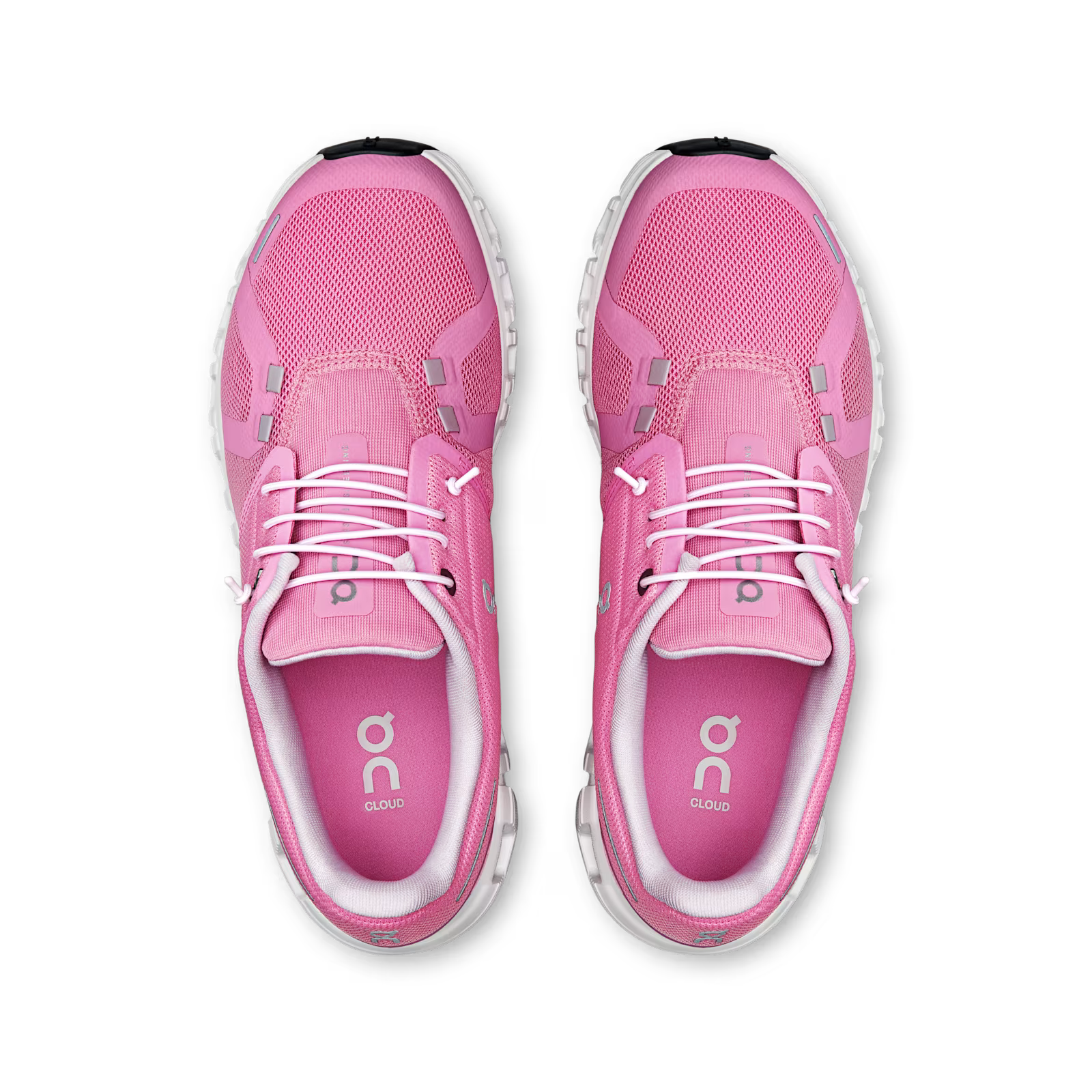Raspberry | White
