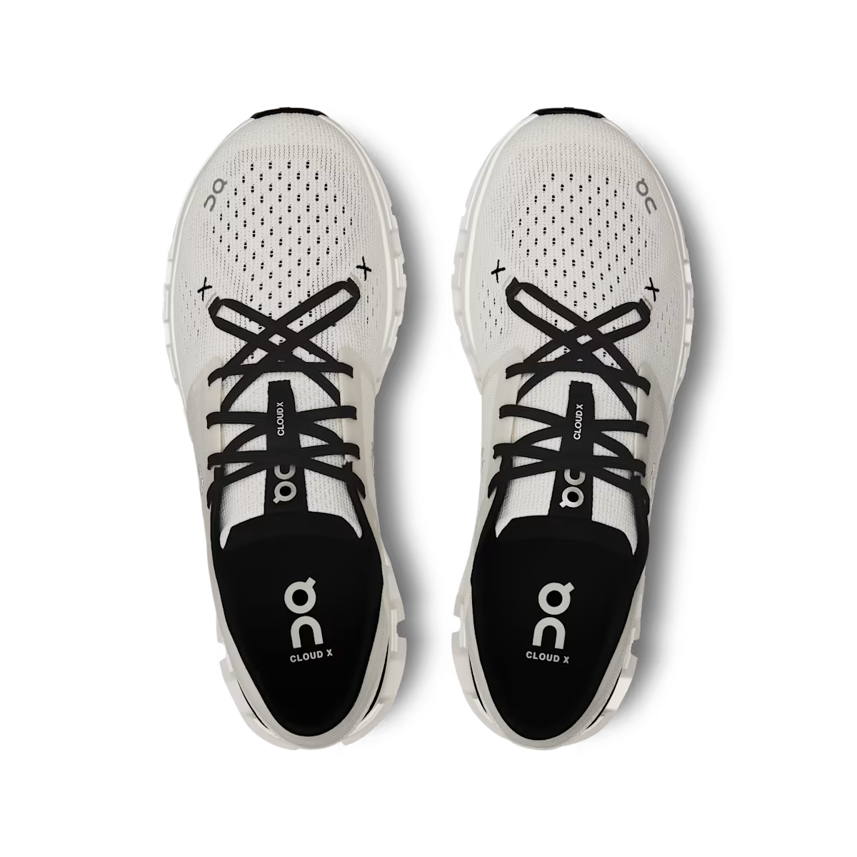 Ivory | Black