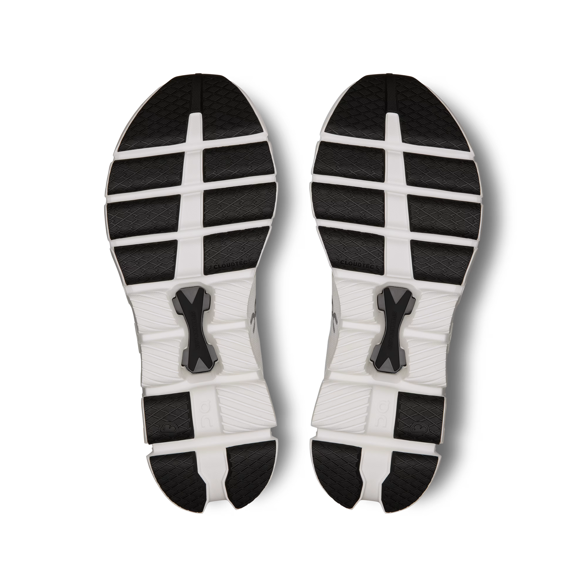 Ivory | Black