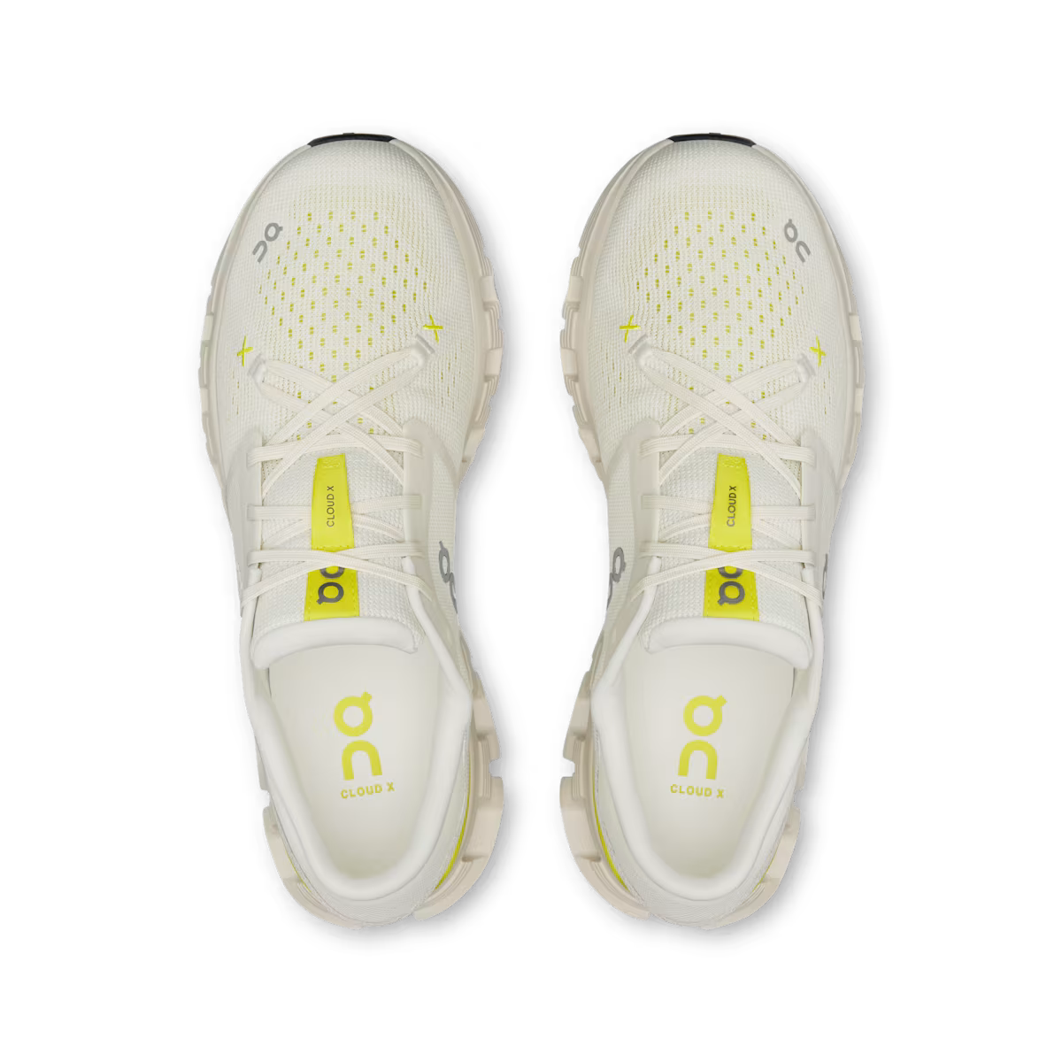 Ivory | Lime
