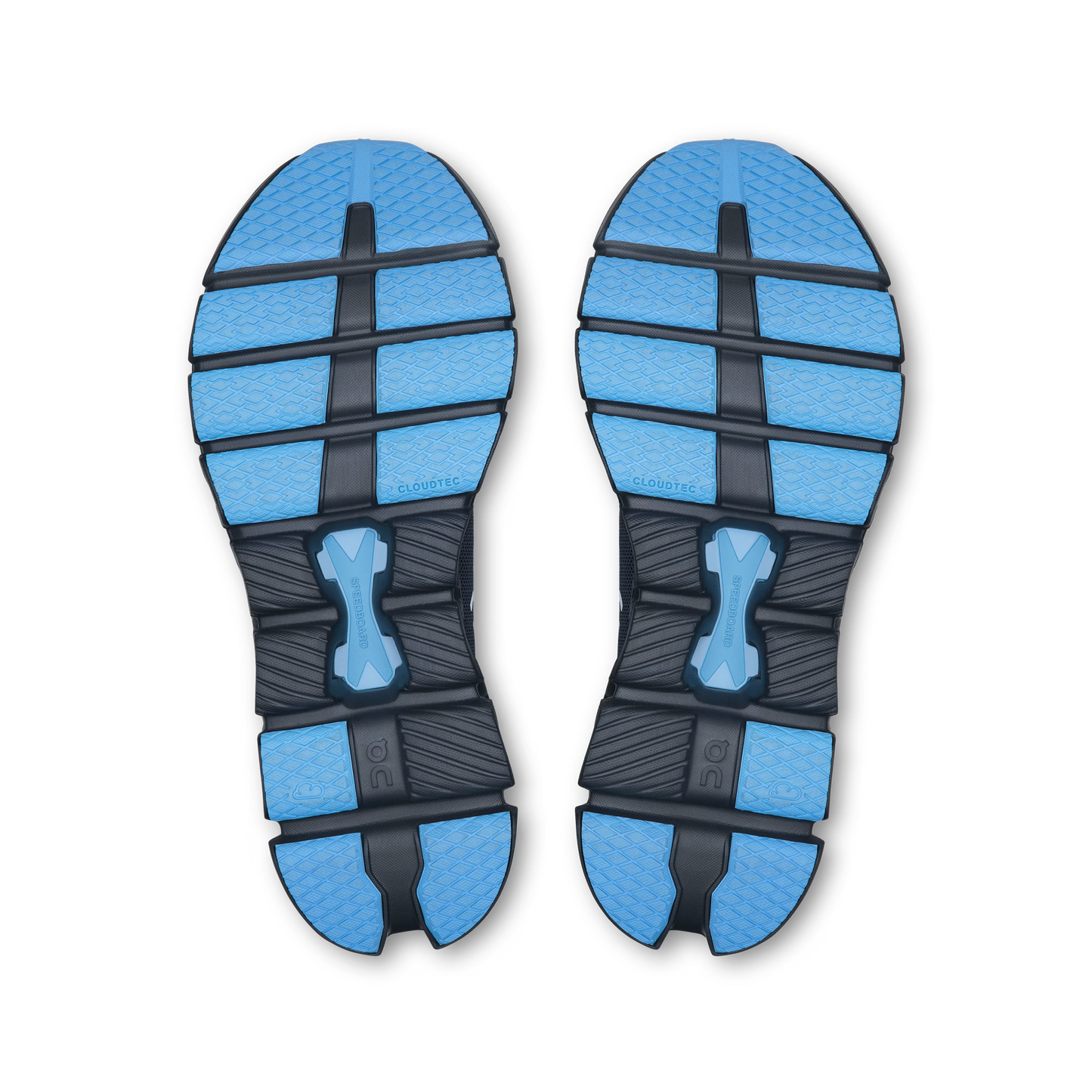 Navy | Gourami