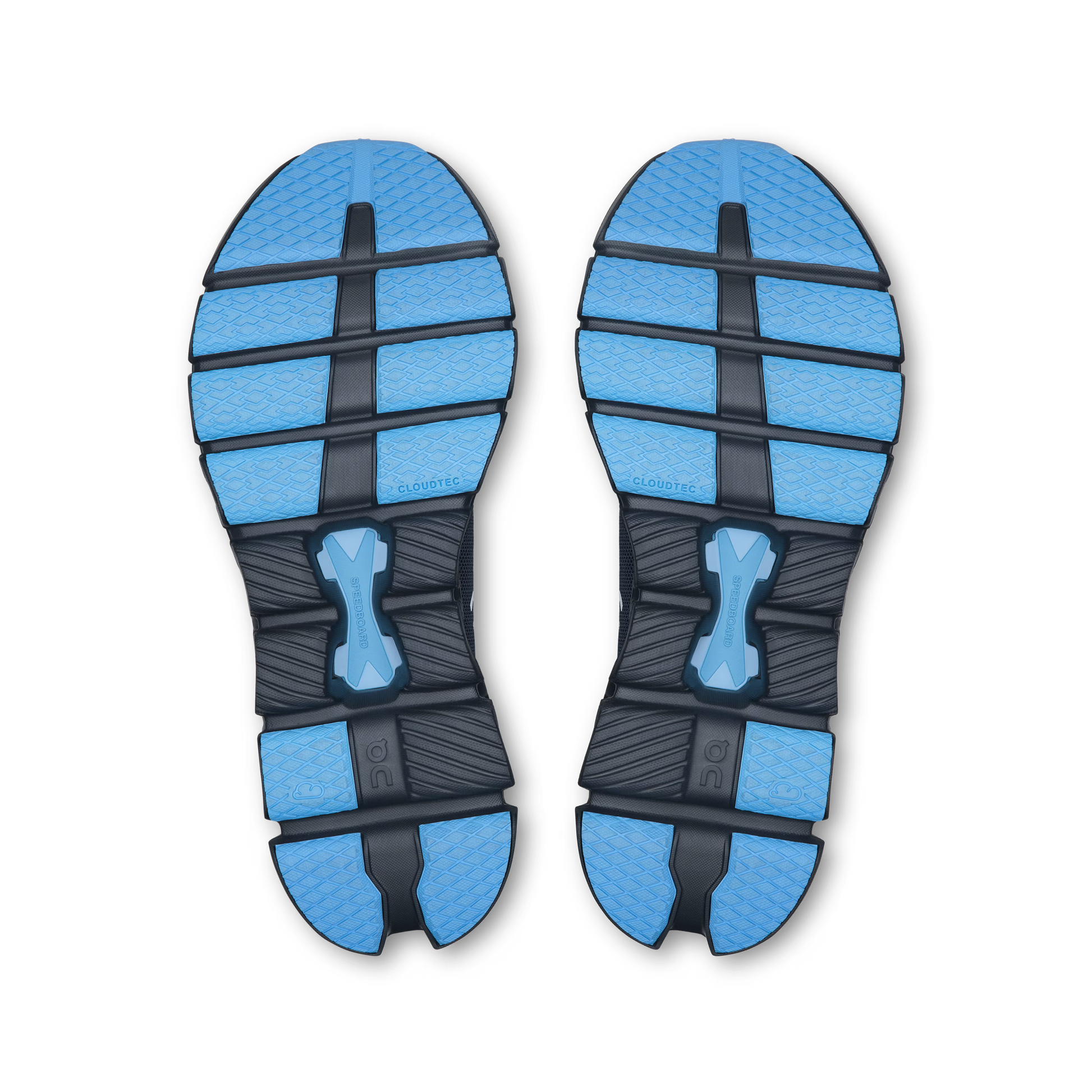 Navy | Gourami