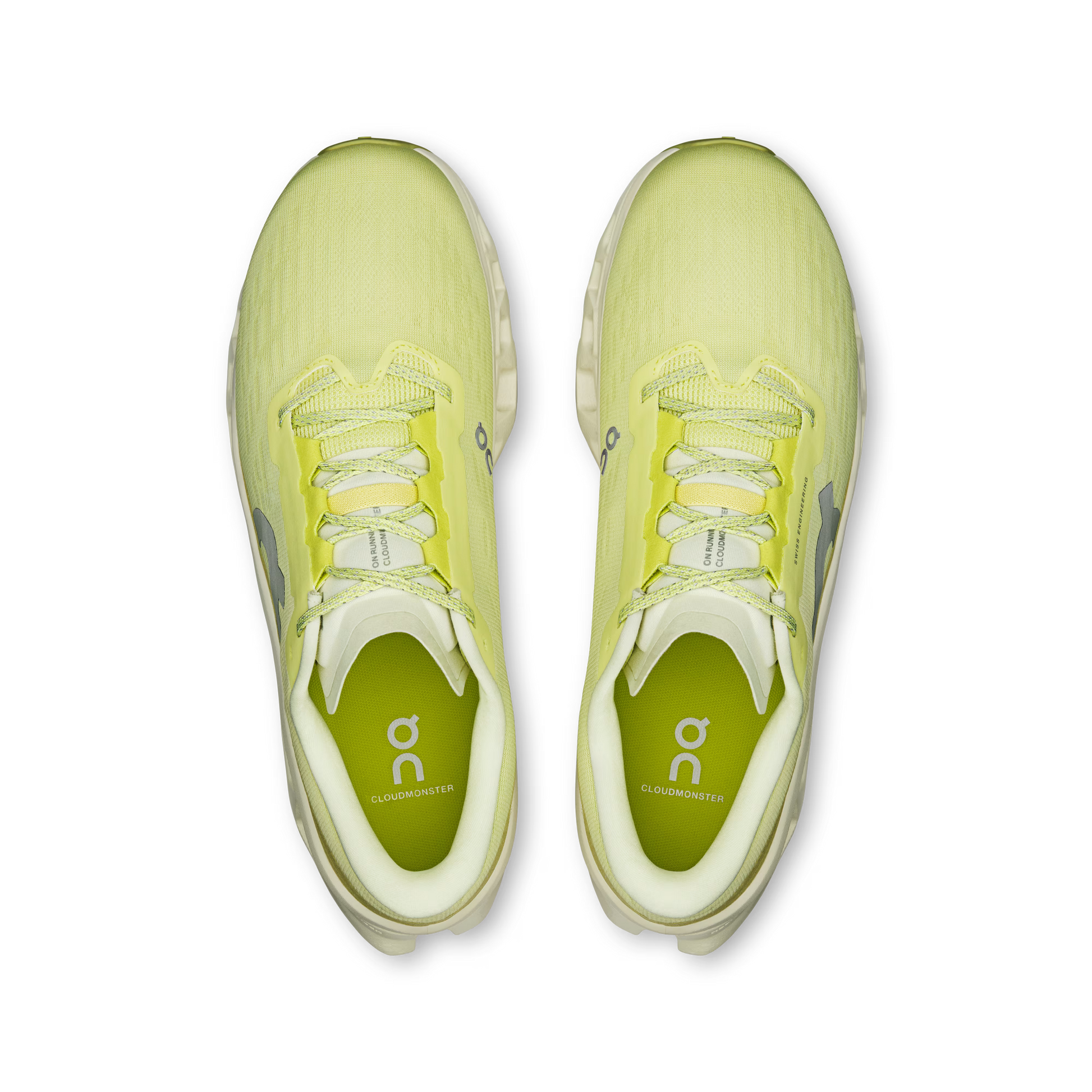 Limelight | Seedling