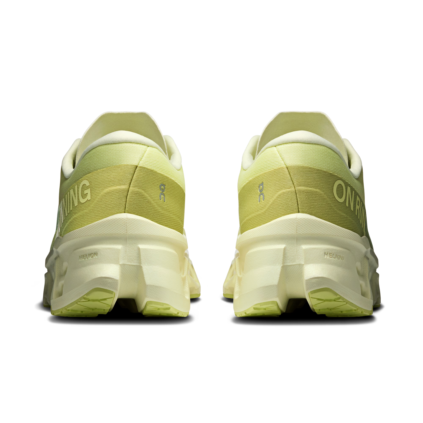 Limelight | Seedling