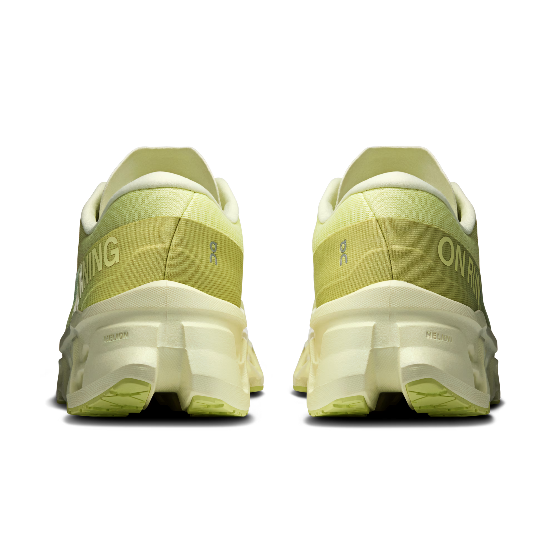 Limelight | Seedling