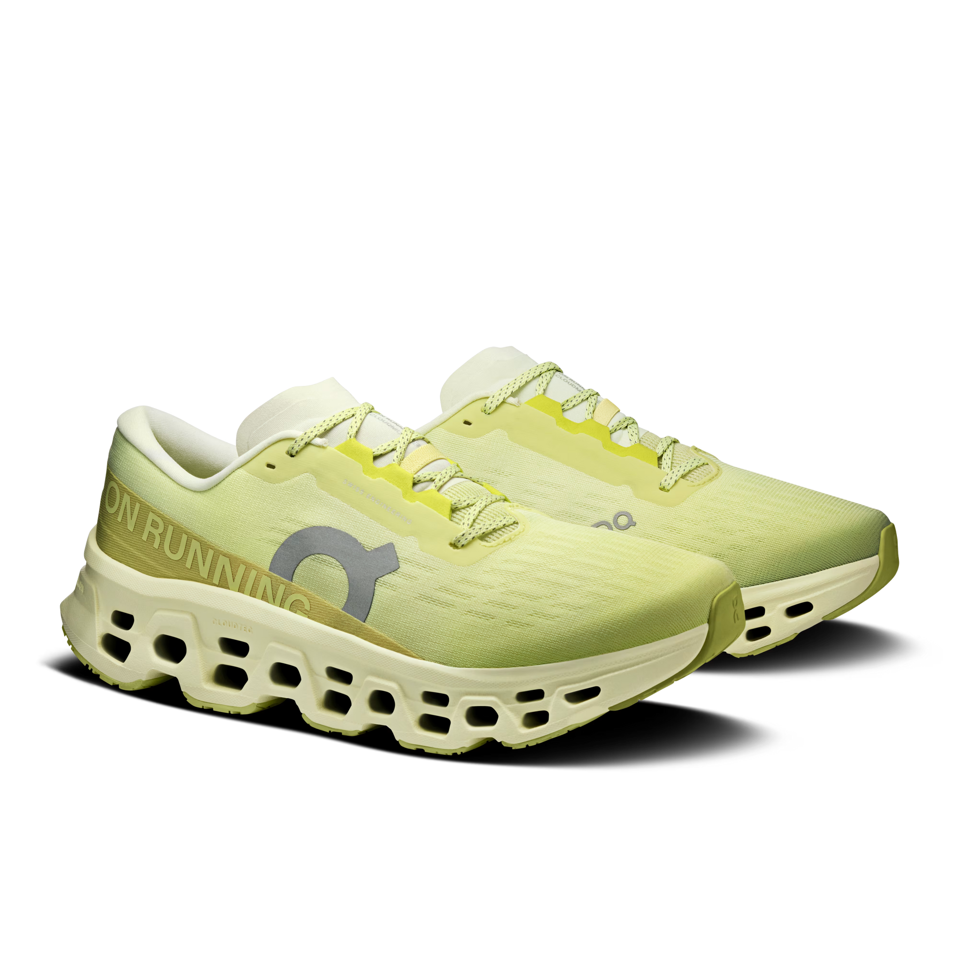 Limelight | Seedling