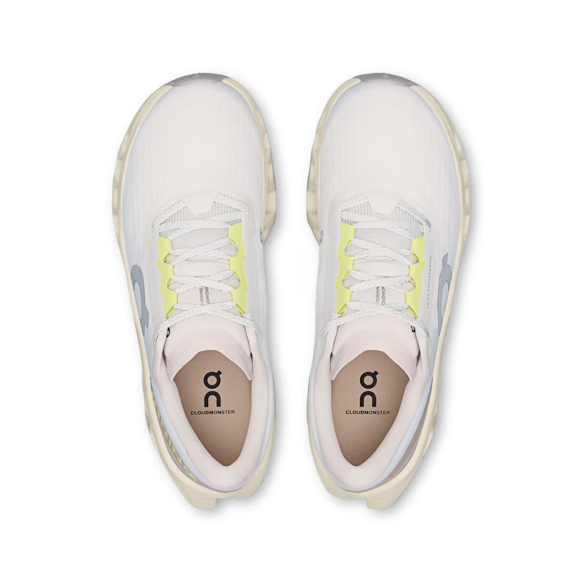 Ivory | Seedling