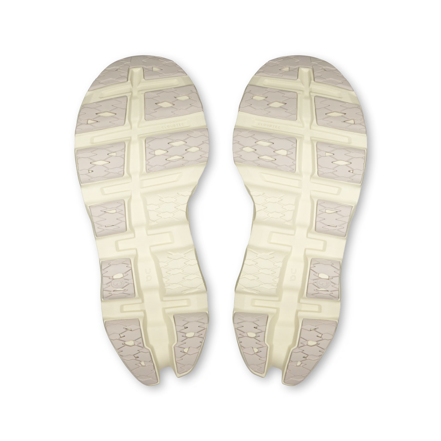 Ivory | Seedling