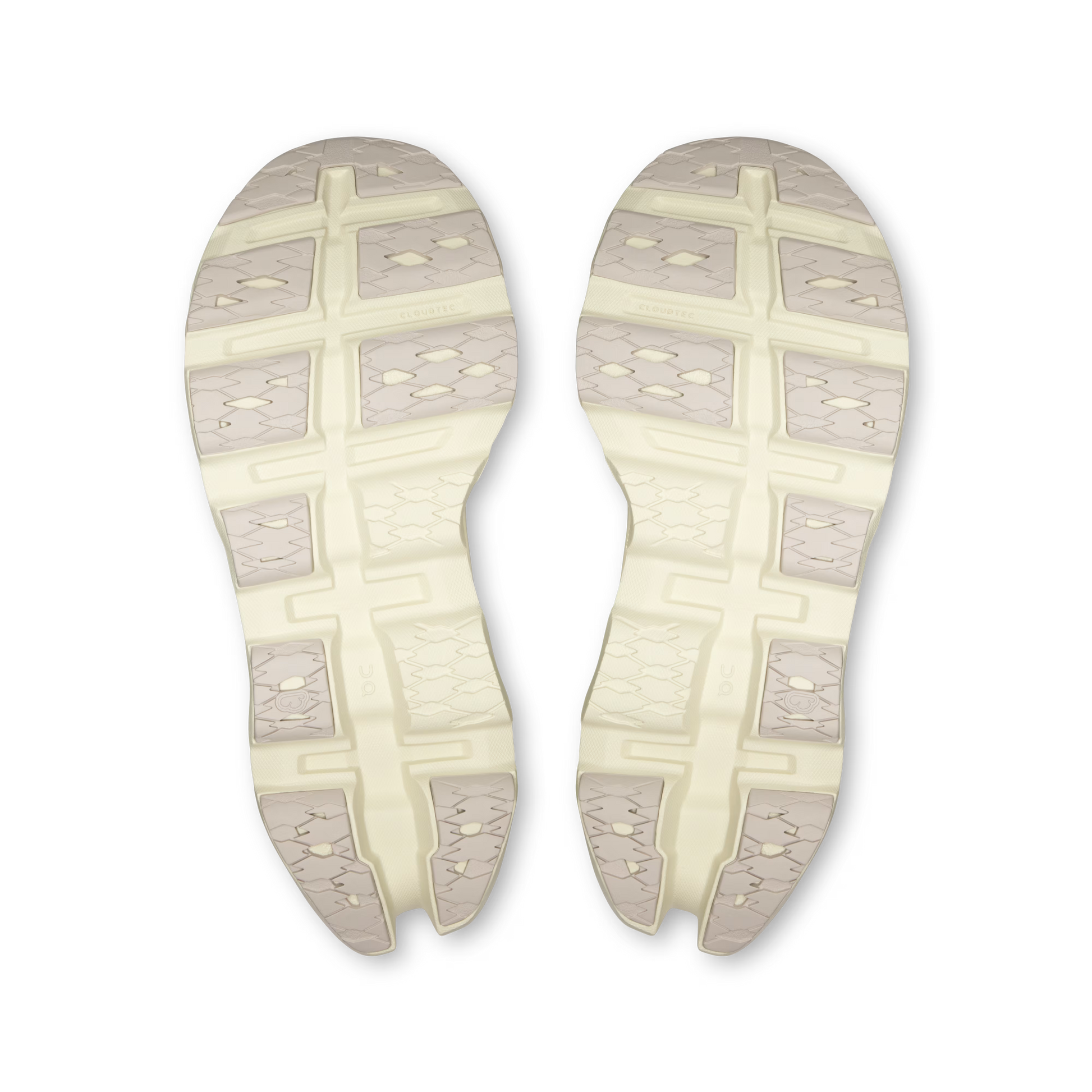 Ivory | Seedling