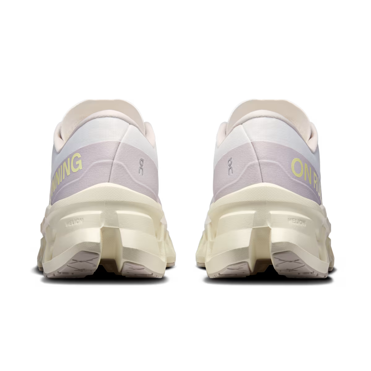 Ivory | Seedling