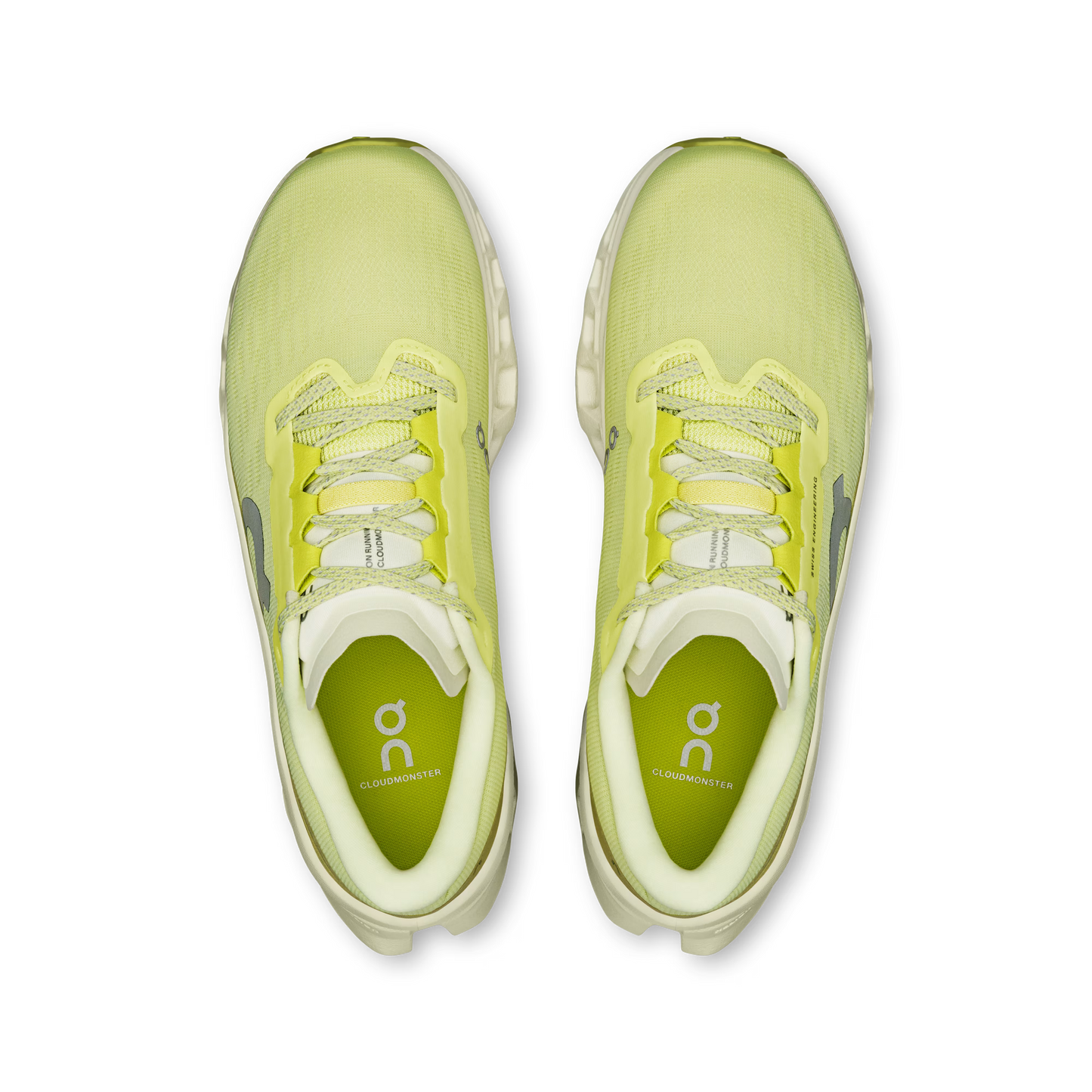 Limelight | Seedling