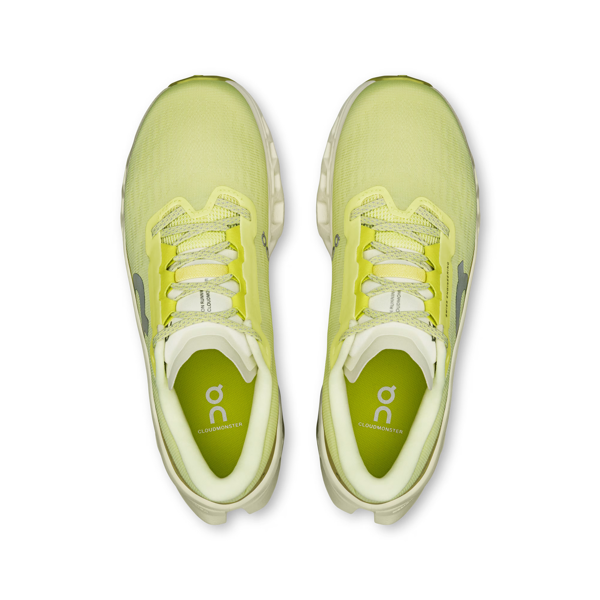 Limelight | Seedling