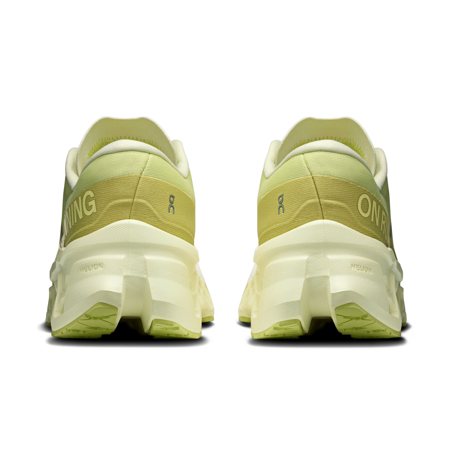 Limelight | Seedling