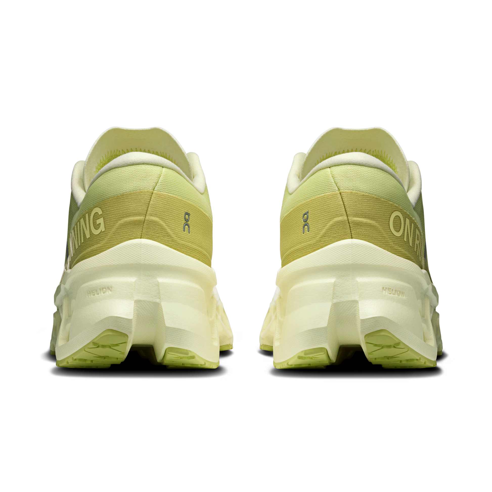 Limelight | Seedling