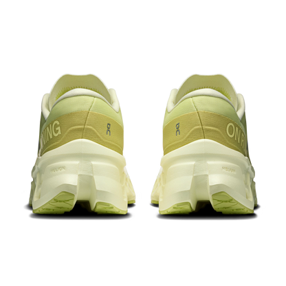 Limelight | Seedling