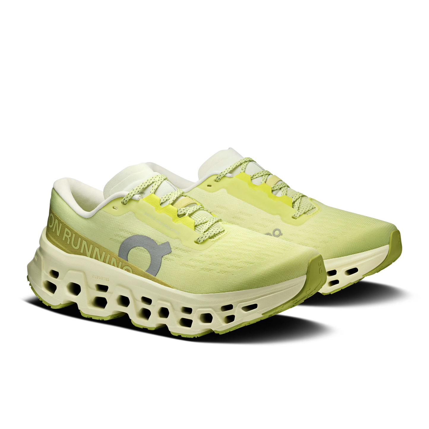 Limelight | Seedling