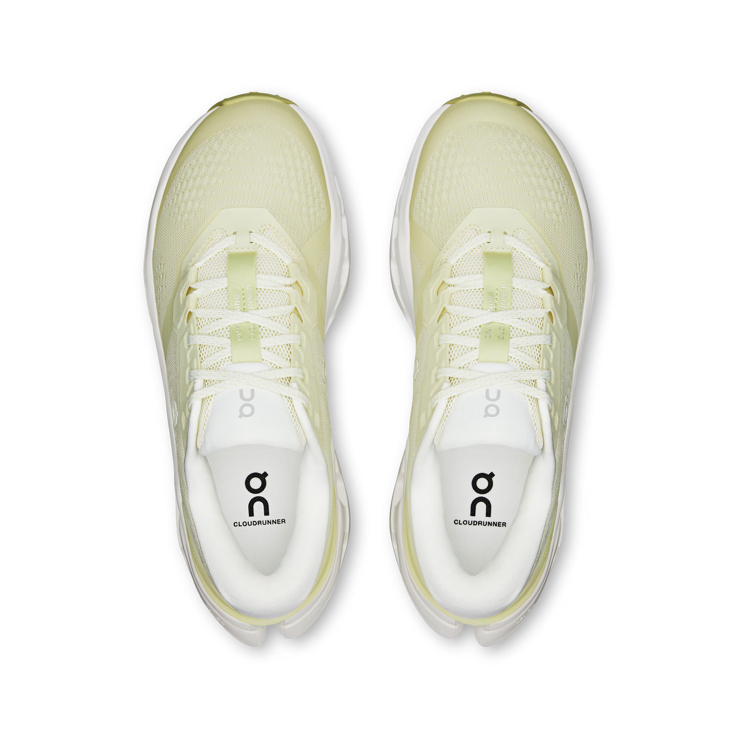 Seedling | Ivory