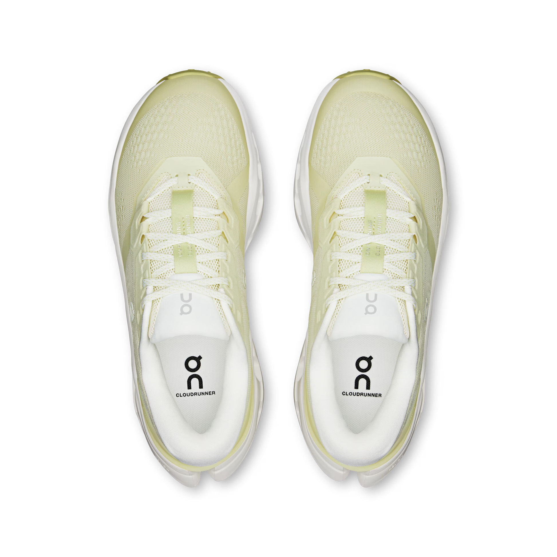 Seedling | Ivory