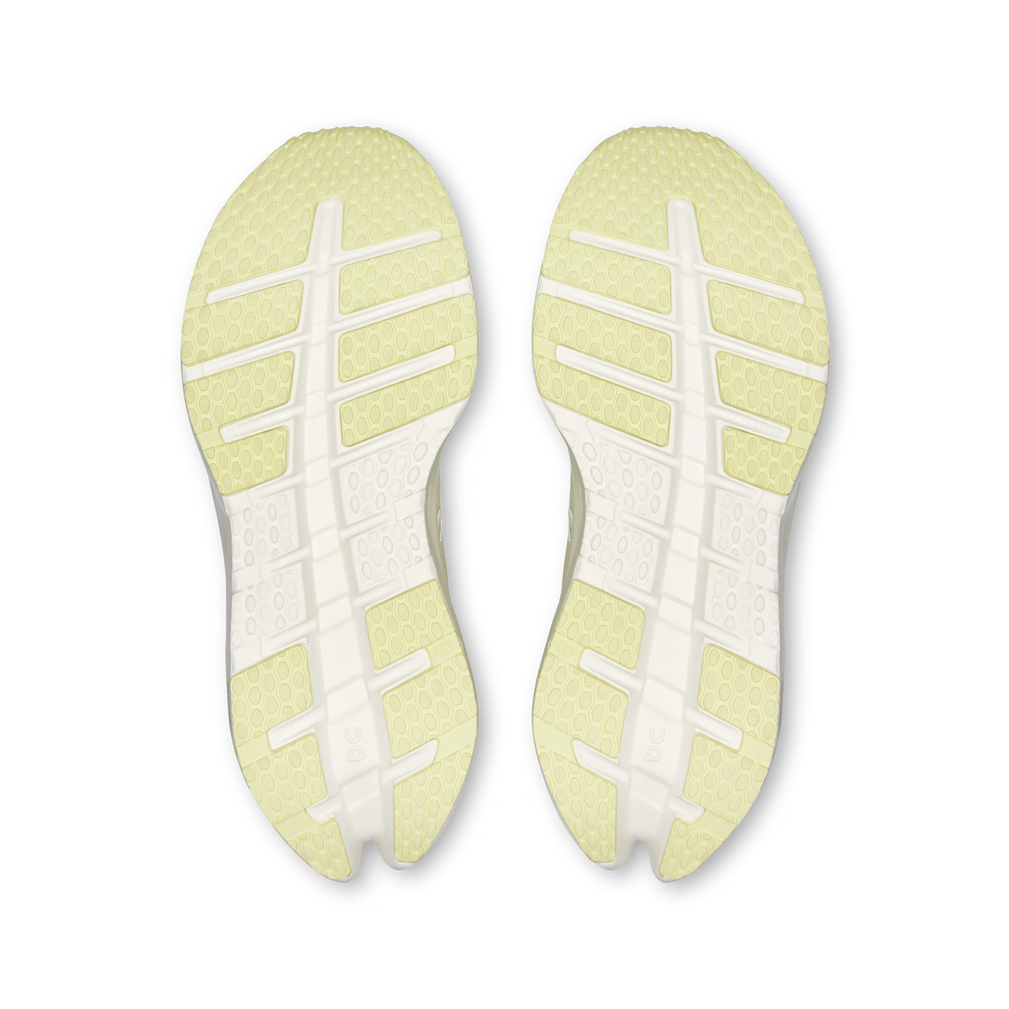 Seedling | Ivory