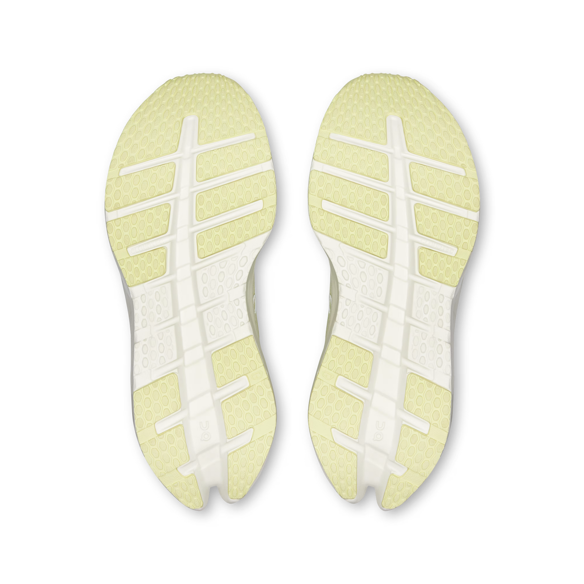 Seedling | Ivory