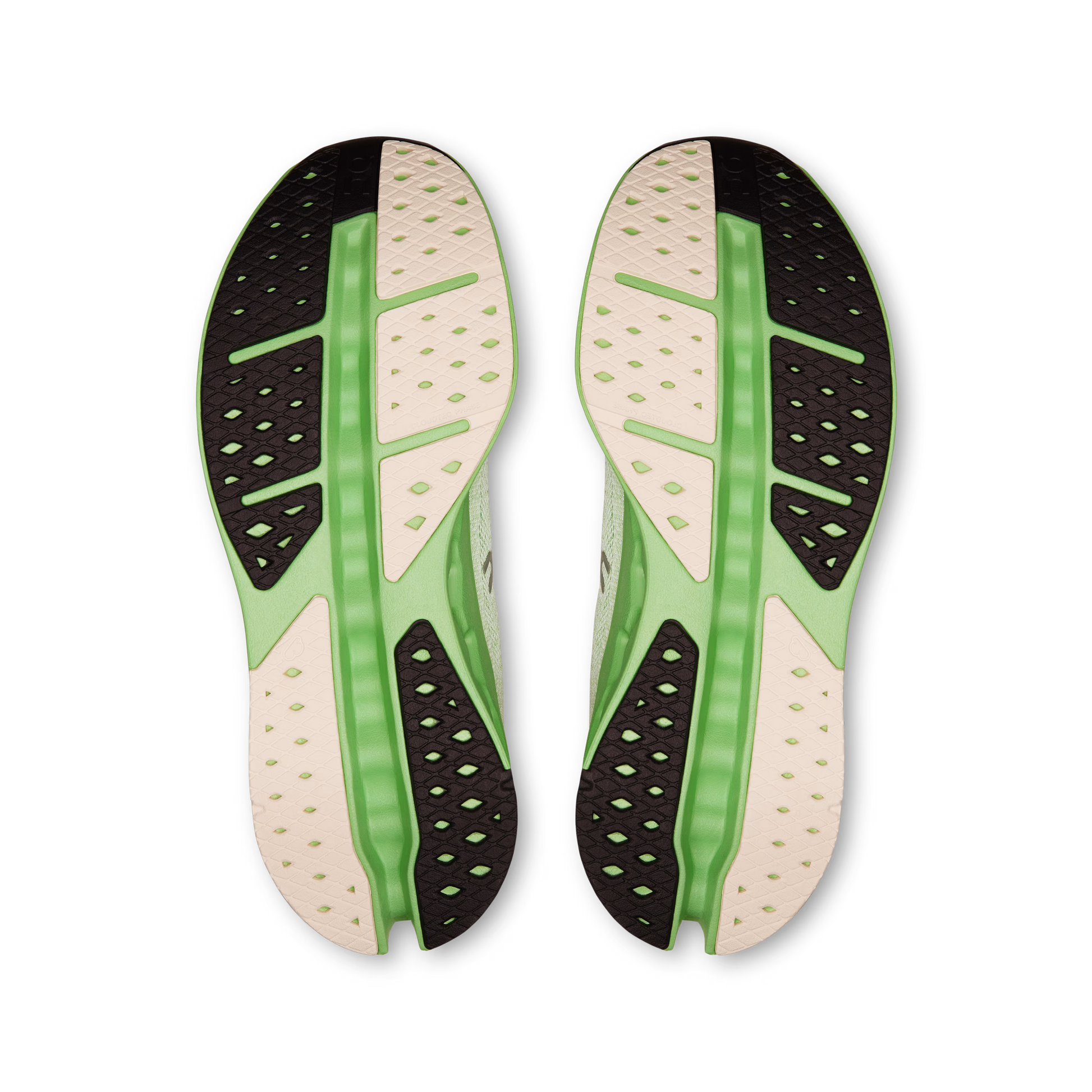Ivory | Honeydew