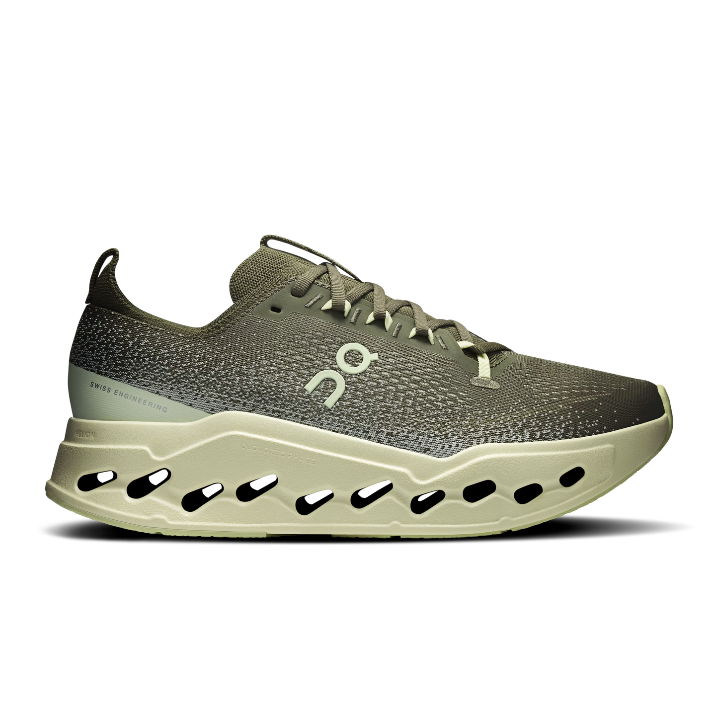 Olive | Seedling