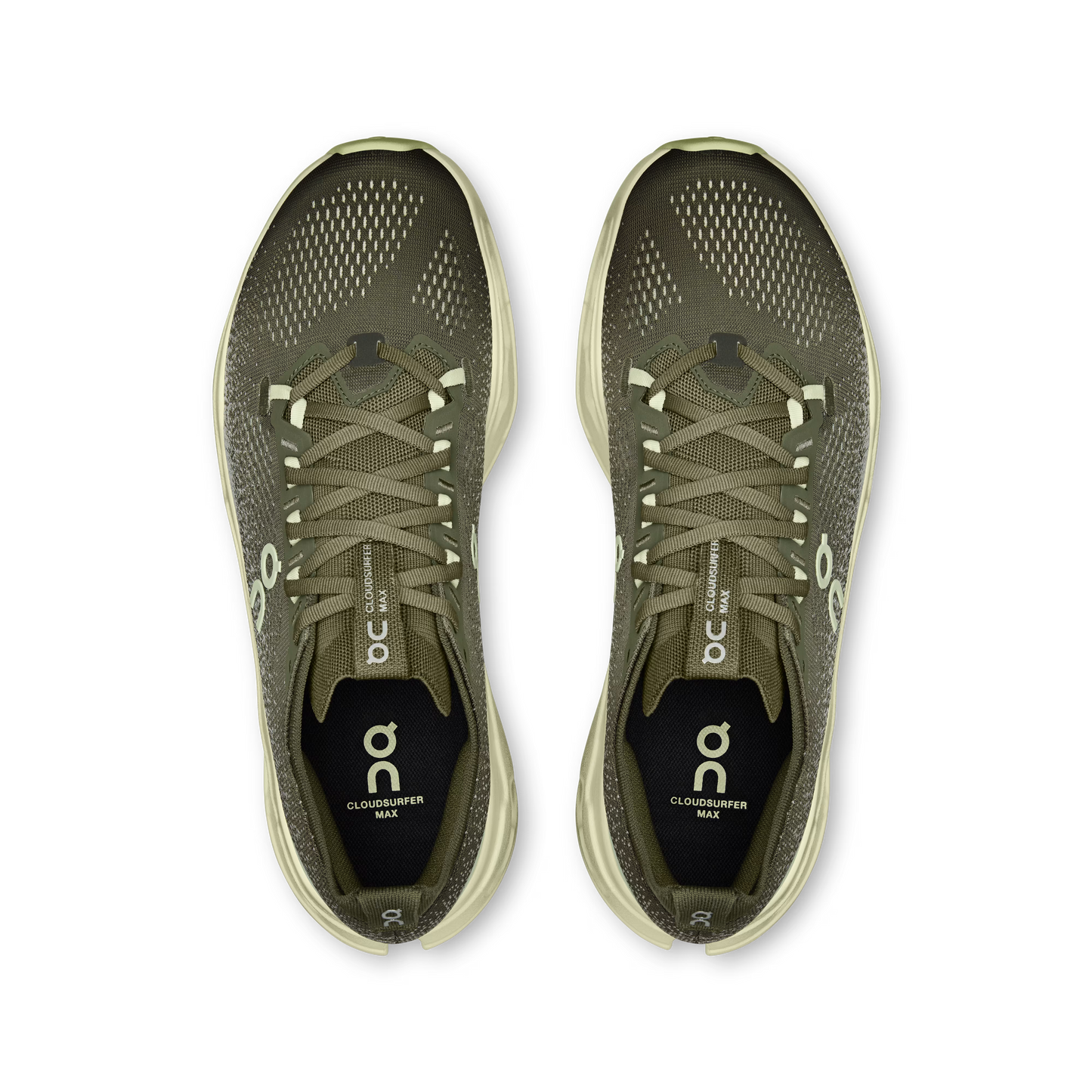Olive | Seedling