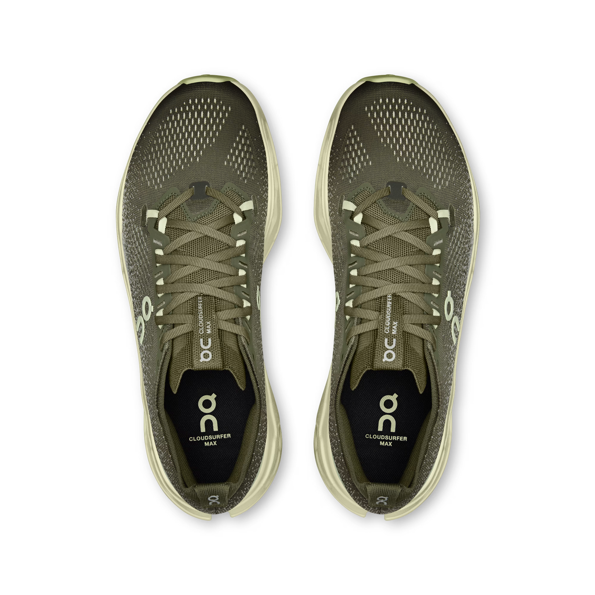 Olive | Seedling