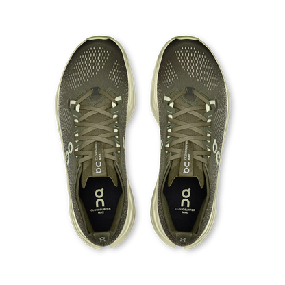 Olive | Seedling