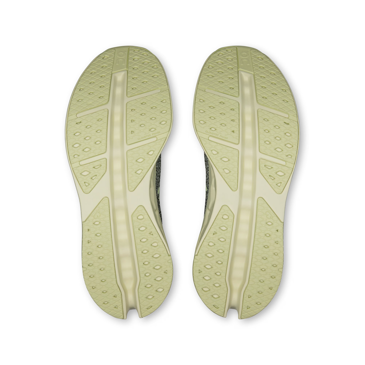 Olive | Seedling