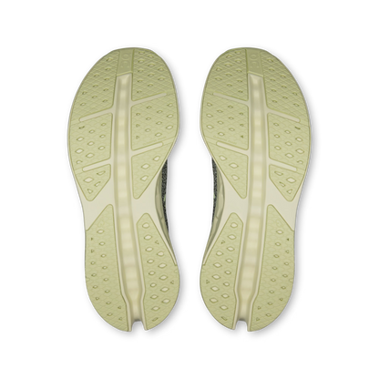 Olive | Seedling