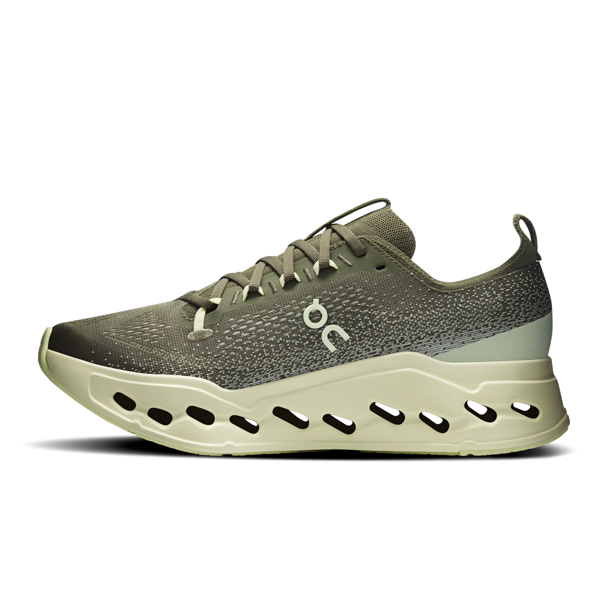 Olive | Seedling