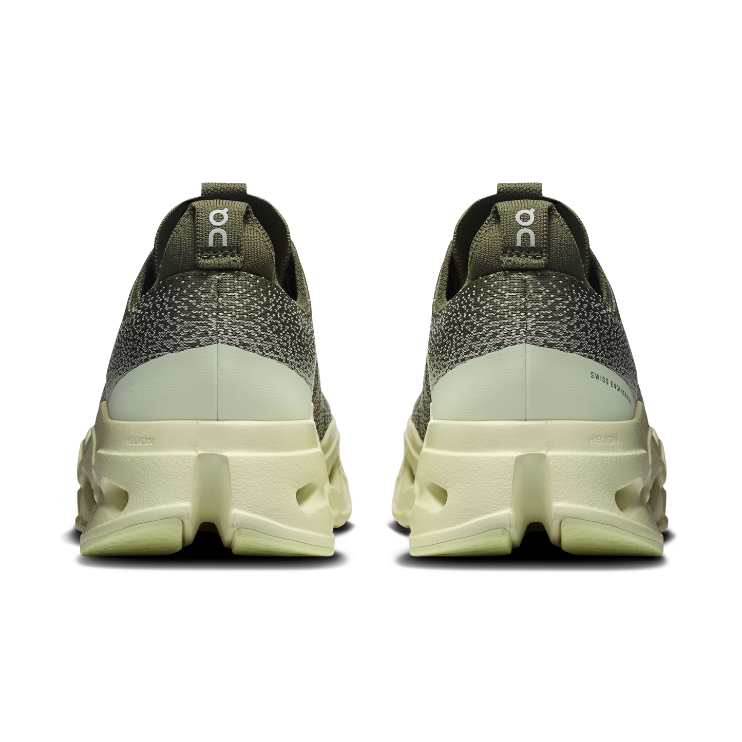 Olive | Seedling