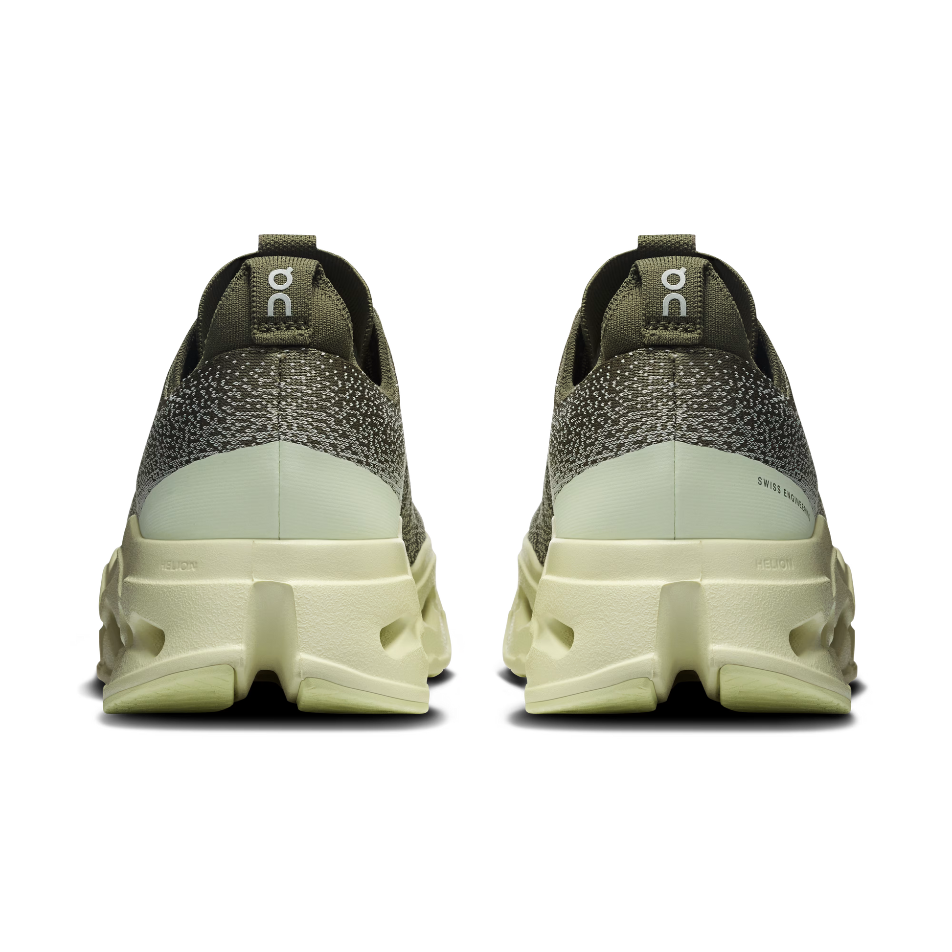 Olive | Seedling