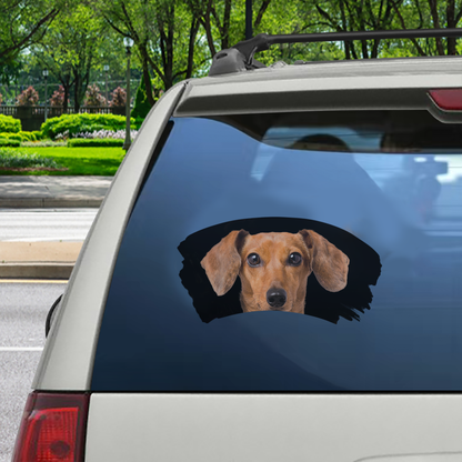 Misty Morning - Personalized Window Car Decal With Your Pet's Photo