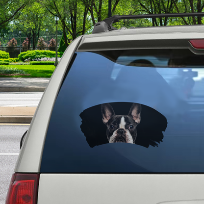 Misty Morning - Personalized Window Car Decal With Your Pet's Photo