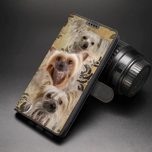 Vintage Chinese Crested Wallet Case