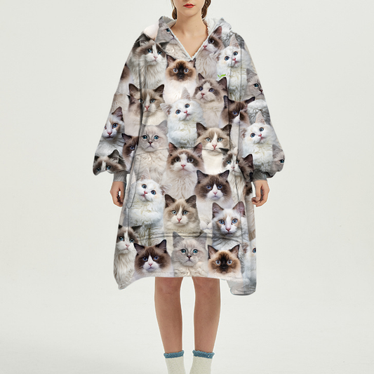 Warm Winter With Ragdoll Cats - Fleece Blanket Hoodie