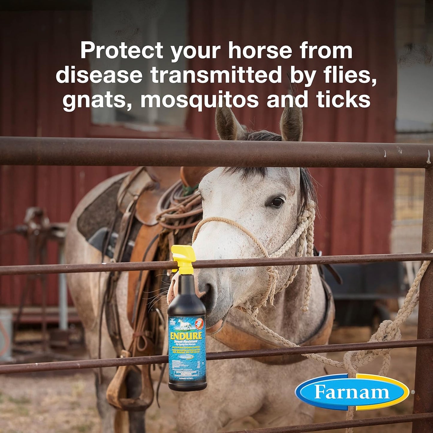 Farnam Endure Sweat-Resistant Horse Fly Spray, Kills, Repels, Protects, Quart Spray