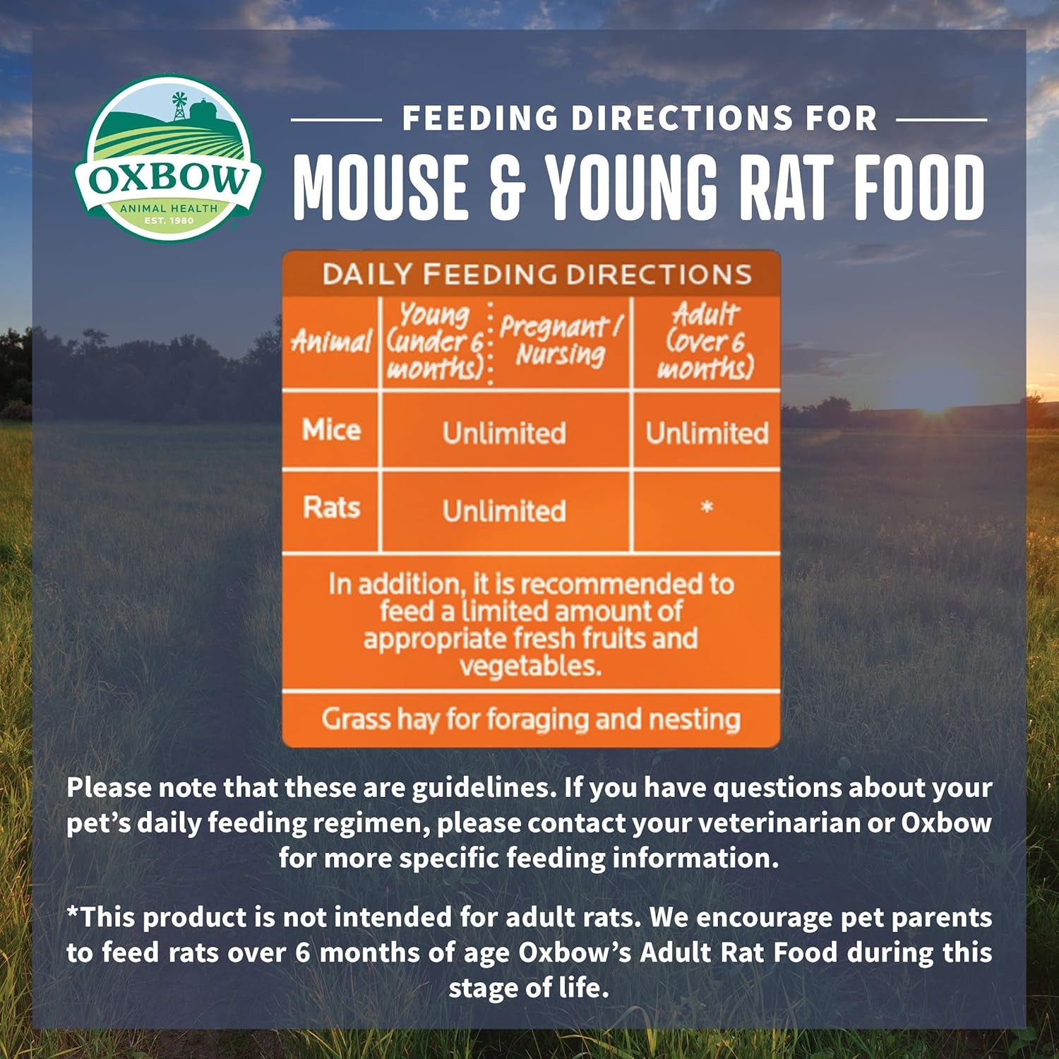 Oxbow Essentials Mouse Food Rat Foods