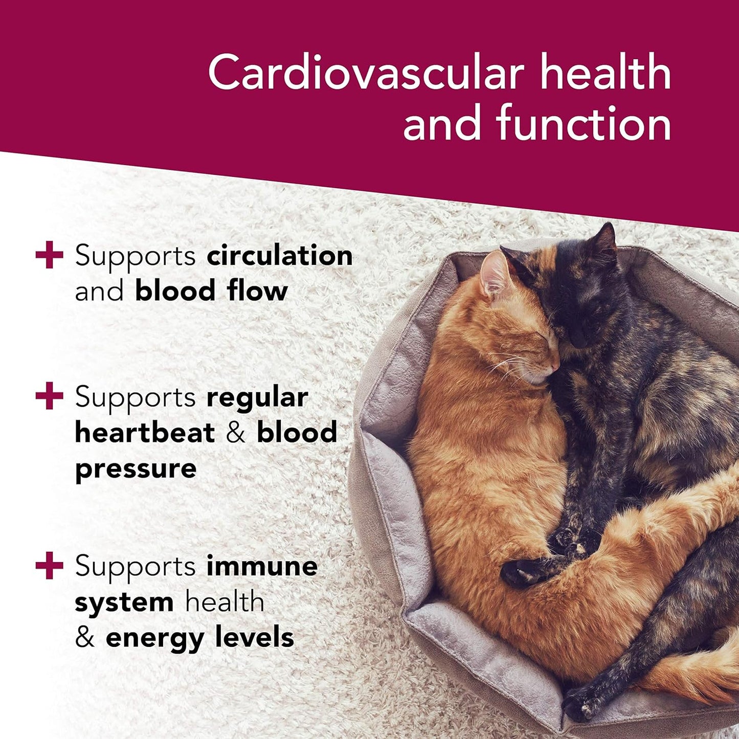 Vetriscience - Cardio Strength, Cardiovascular and Circulatory Support Supplement for Dogs and Cats, 90 Capsules