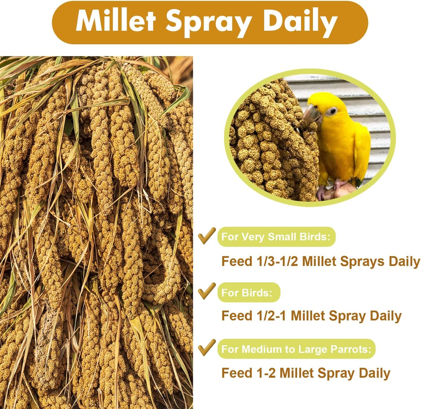 Jmxu'S Spray Millet Treat for Birds Parakeets, Natural Sun-Dried Birds Millet for Cockatiel, Finches, Parrots, Hamster