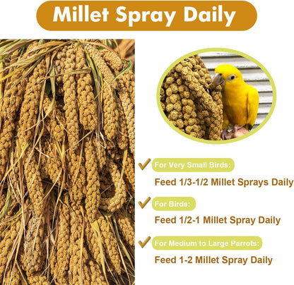 Jmxu'S Spray Millet Treat for Birds Parakeets, Natural Sun-Dried Birds Millet for Cockatiel, Finches, Parrots, Hamster