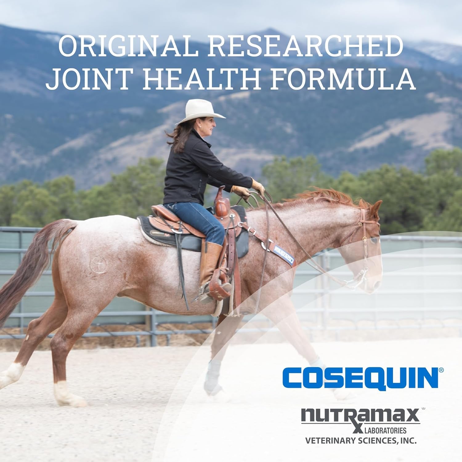 Nutramax Cosequin Original Joint Health Supplement for Horses - Powder with Glucosamine and Chondroitin, 280 Grams