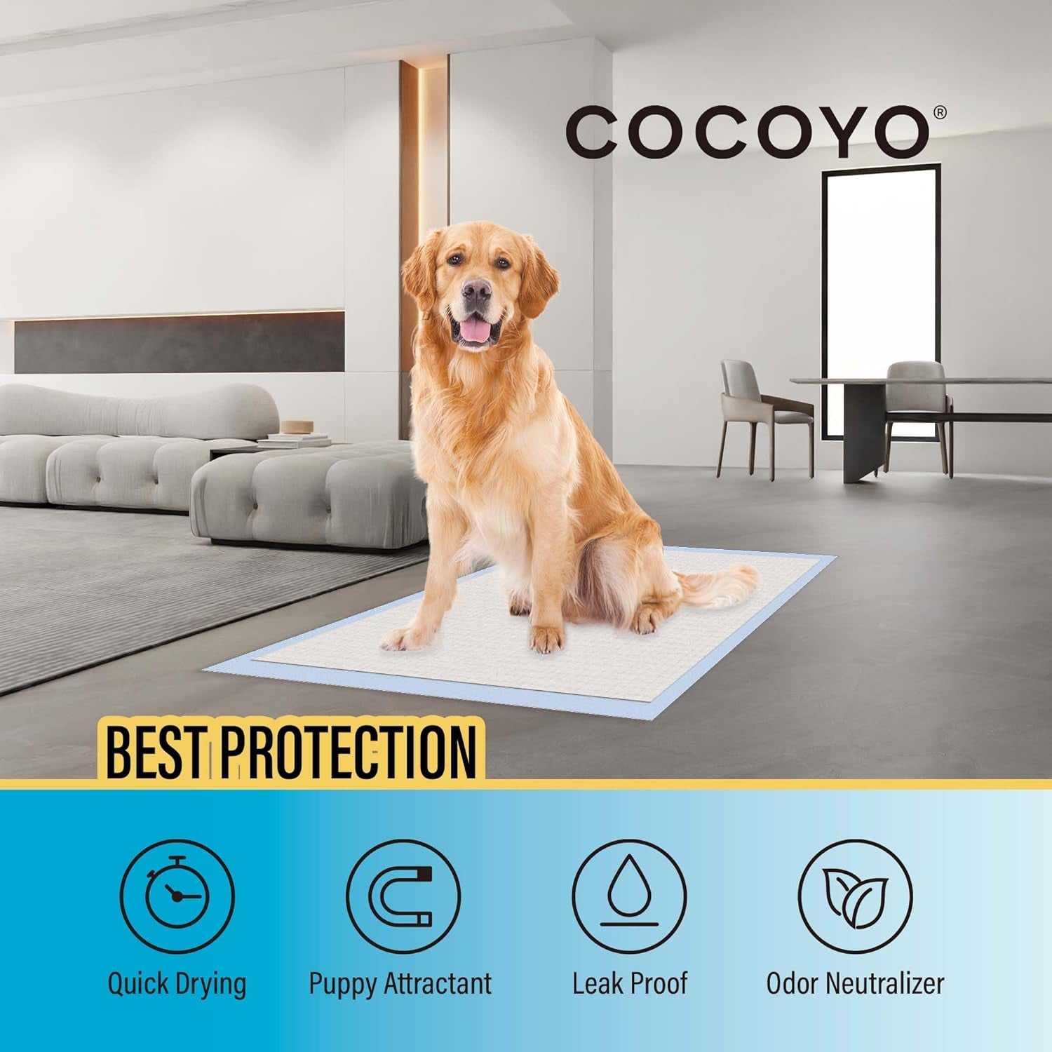 COCOYO Best Value Training Pads, 30"X36", XXL - 80 Count,White