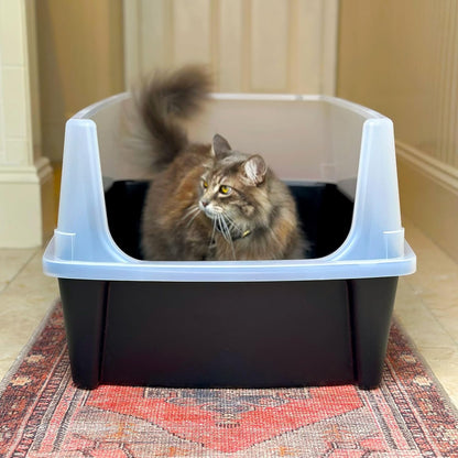 IRIS USA Extra Large Cat Litter Box, Open Top Litter Box for Big Cats and Multi-Cat Households, High Sided Scatter Shield, Easy to Clean, Black