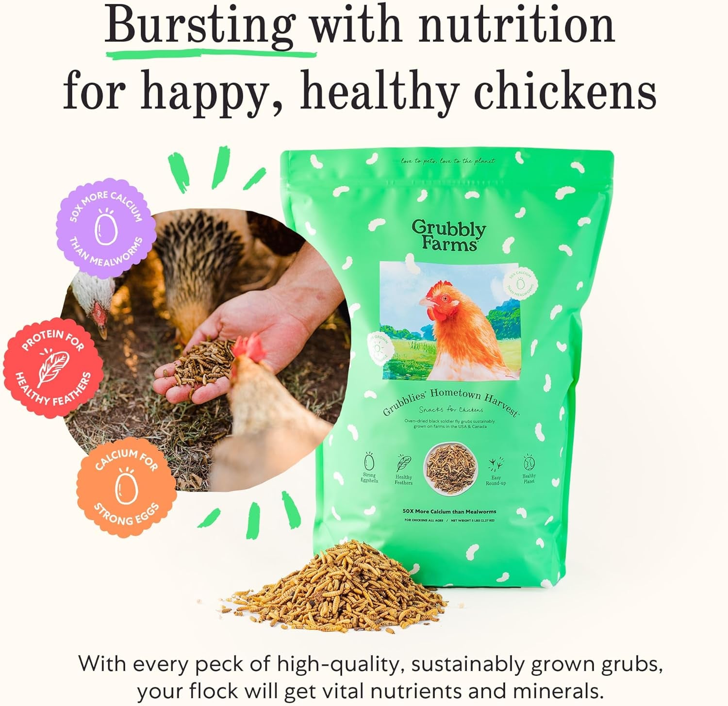 Grubblies - Black Soldier Fly Larvae for Chickens - Chicken Treats Grown in the US and Canada - for Strong Eggshells and Healthy Feathers