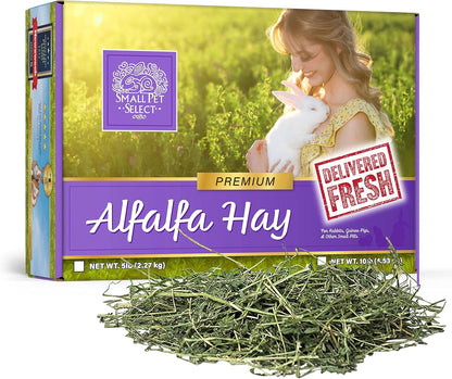 Small Pet Select Alfalfa Hay Pet Food for Young Rabbits, Guinea Pigs, Chinchillas, Tortoises and Other Small Animals, Easy to Store Box