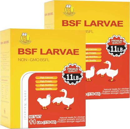 Dried Black Solider Fly Larvae of Chicken Treats - BSF Larvae 85X More Calcium than Meal Worms -100% Natural Dried BSF for Chickens, Birds, Reptiles, Hedgehog, Geckos, Turtles, Hens