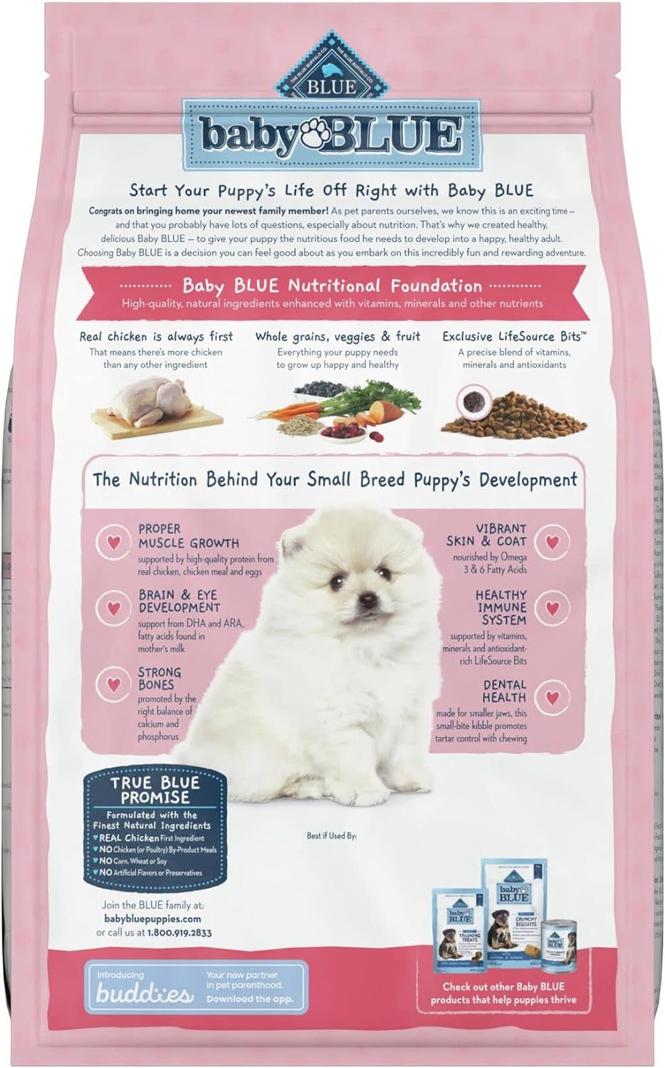 Blue Buffalo Baby BLUE Natural Small Breed Puppy Dry Dog Food, Healthy Growth Formula with DHA, Chicken and Oatmeal Recipe